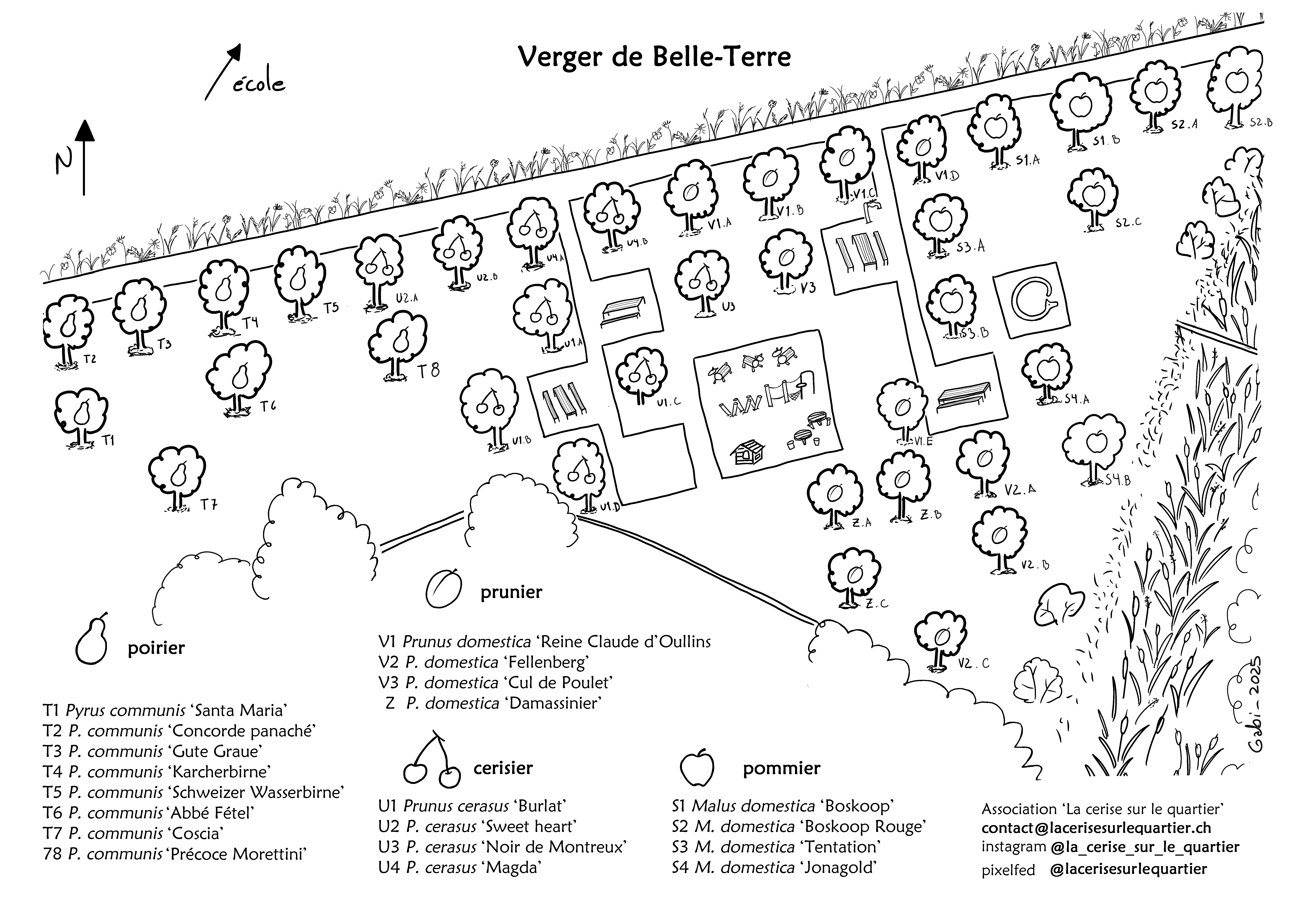 Plan du verger participatif